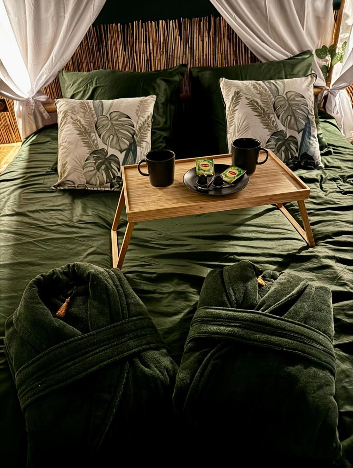 Jungle Love Room ตูลูส ภายนอก รูปภาพ